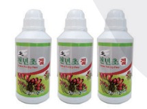 천년초 겔